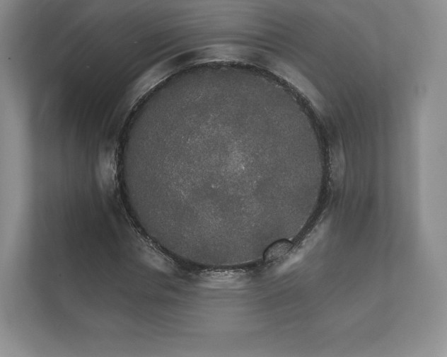 X0000112430826200908211158
