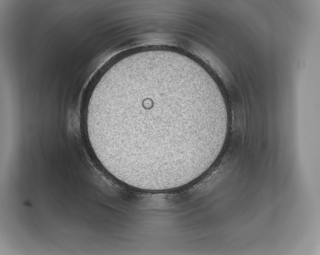 X0000112430828200908211158