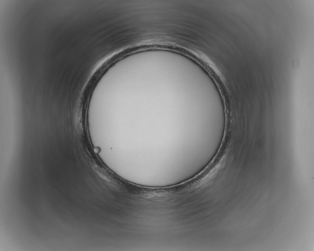 X0000112430830200908211159
