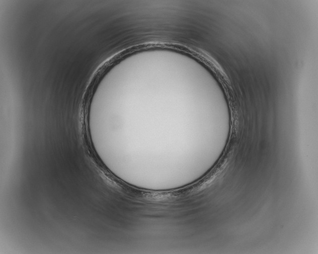 X0000112430831200908211159