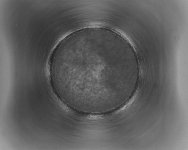 X0000112430835200908211159