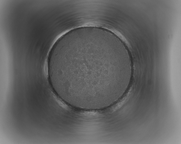 X0000112430838200908211159