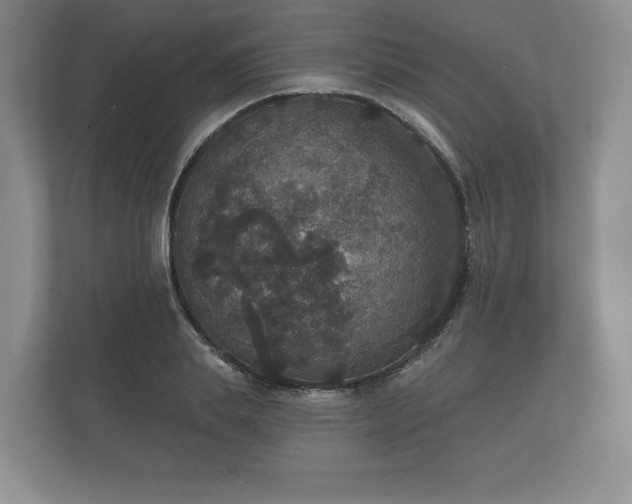 X0000112430839200908211159