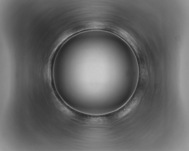 X0000112430843200908211159