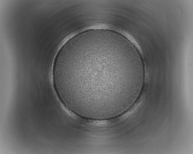 X0000112430845200908211159