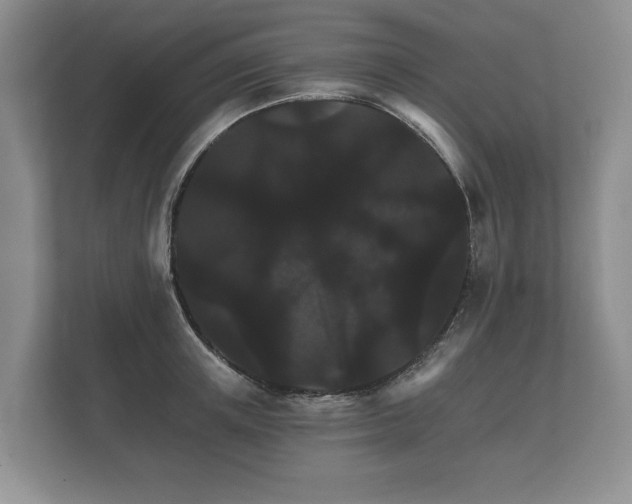 X0000112430851200908211159