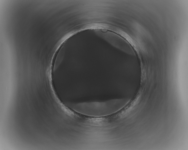 X0000112430853200908211159