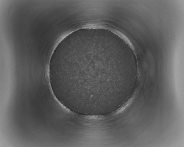 X0000112430855200908211159