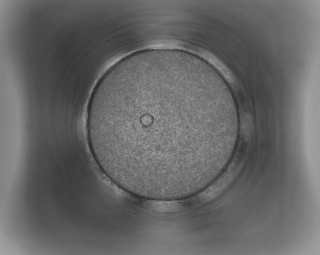 X0000112430856200908211159