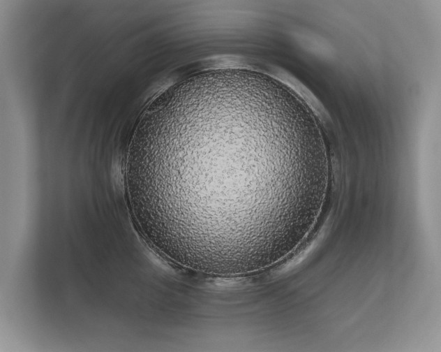 X0000112430857200908211159