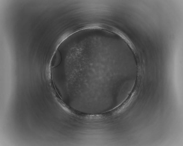 X0000112430858200908211159