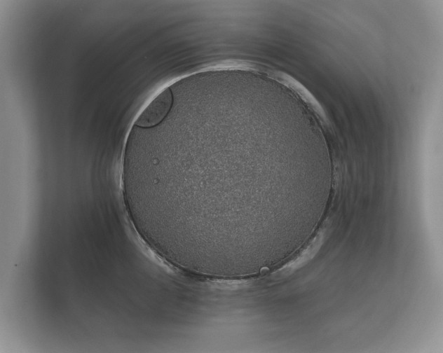 X0000112430860200908211159