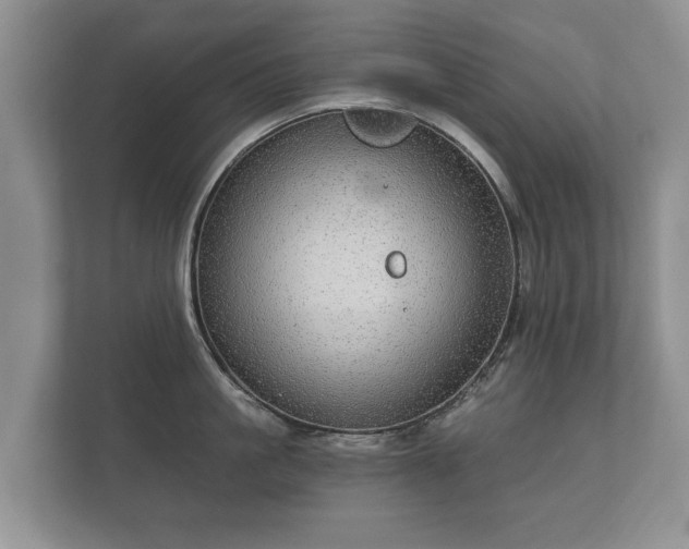 X0000112430861200908211159