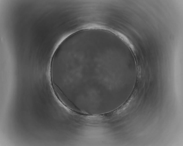 X0000112430863200908211159
