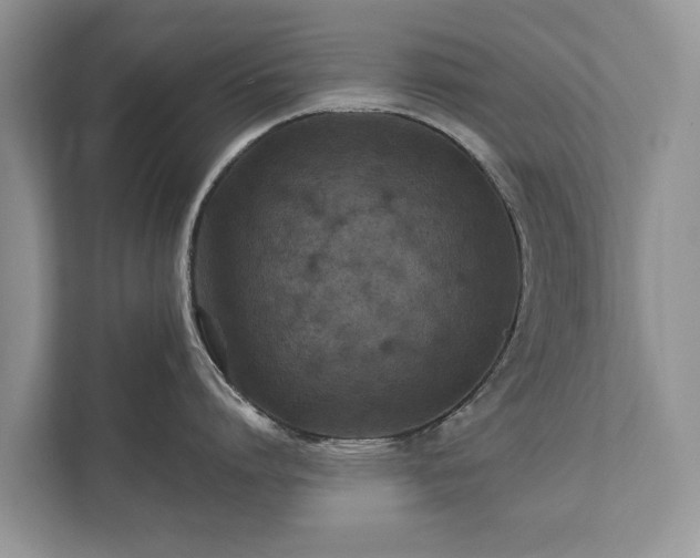 X0000112430864200908211159