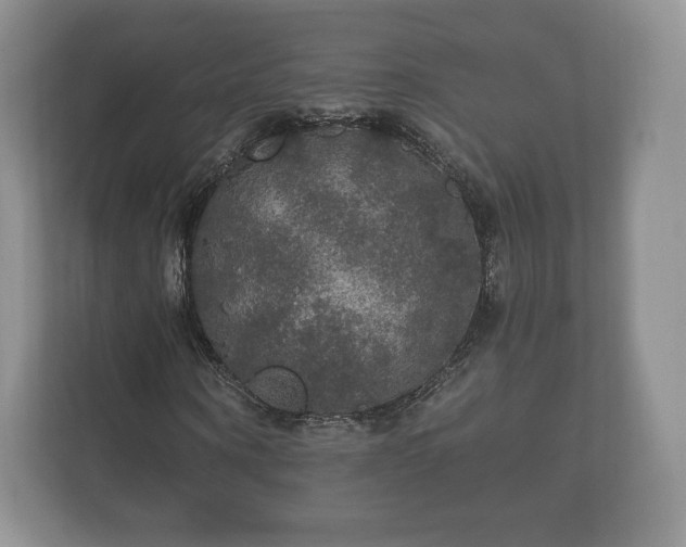 X0000112430866200908211158