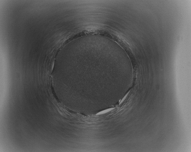X0000112430868200908211158