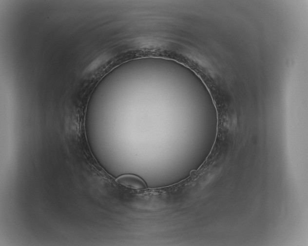 X0000112430869200908211158