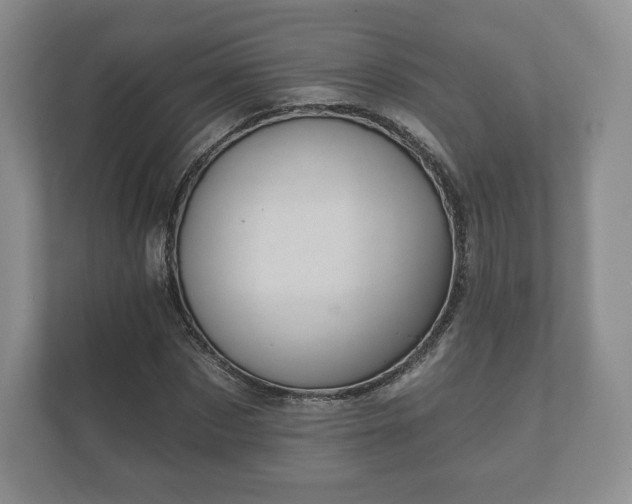 X0000112430873200908211158
