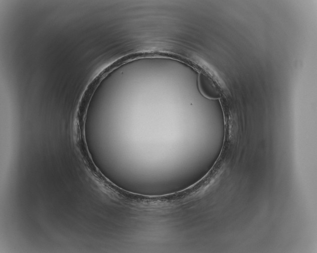 X0000112430876200908211158