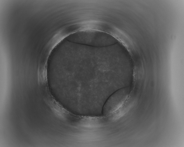 X0000112430877200908211158