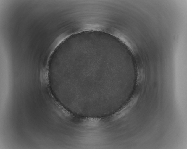 X0000112430878200908211158