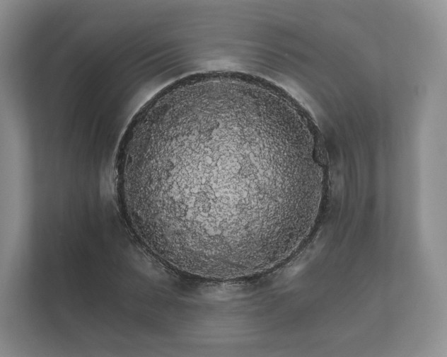 X0000112430879200908211158