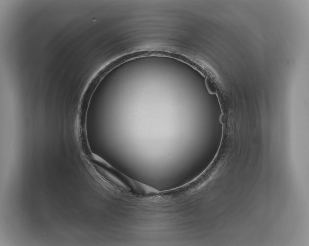 X0000112430880200908211158