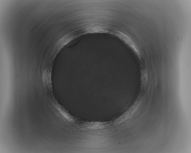 X0000112430881200908211158