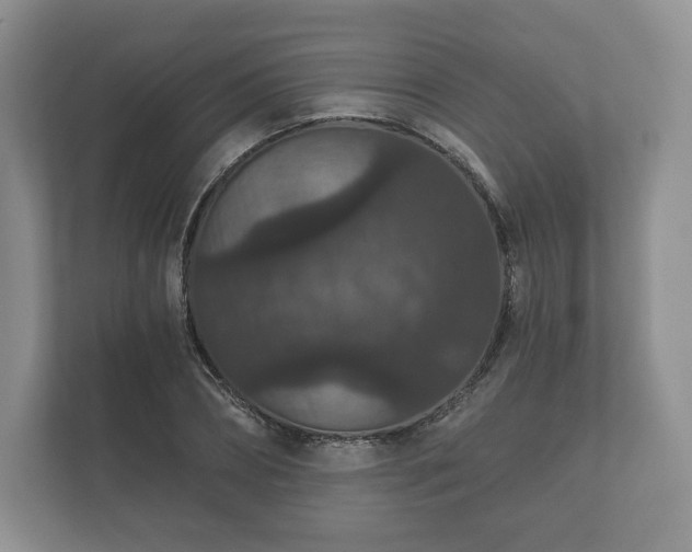 X0000112430882200908211158