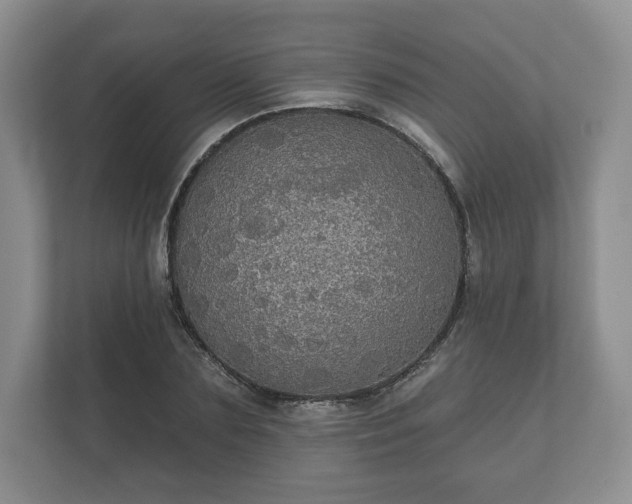 X0000112430883200908211158
