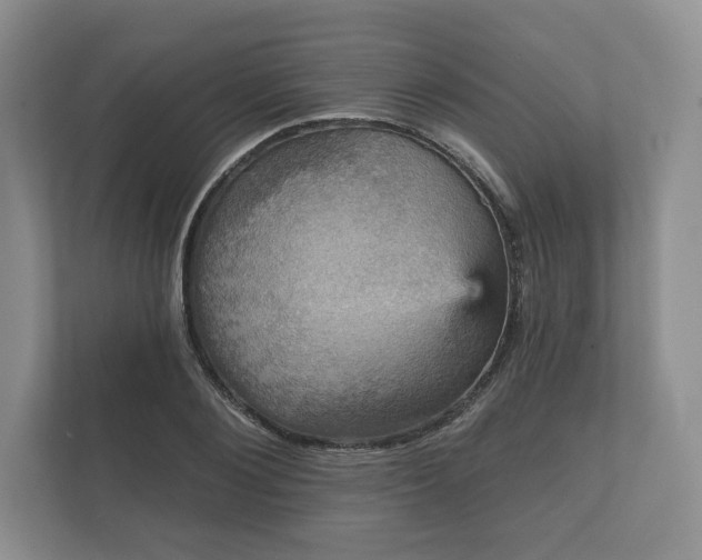 X0000112430884200908211158