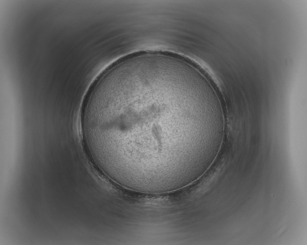 X0000112430887200908211158
