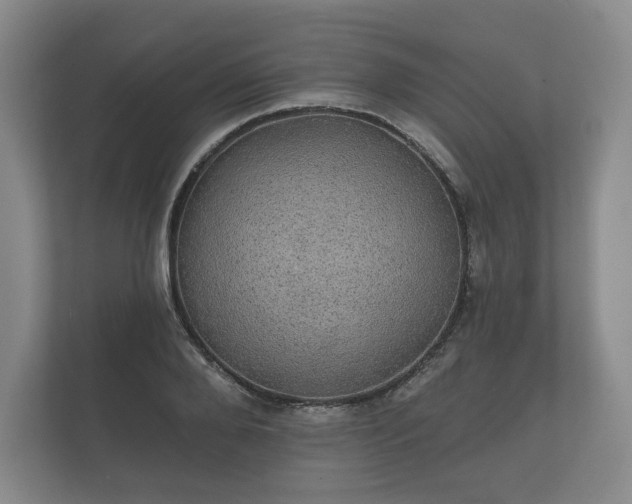 X0000112430888200908211158