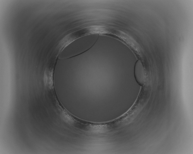 X0000112430889200908211158