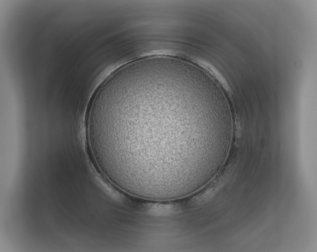 X0000112430890200908211158