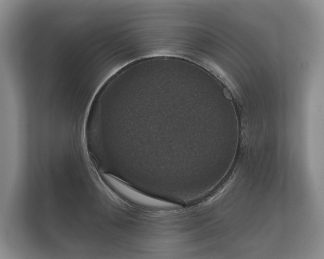 X0000112430892200908211158