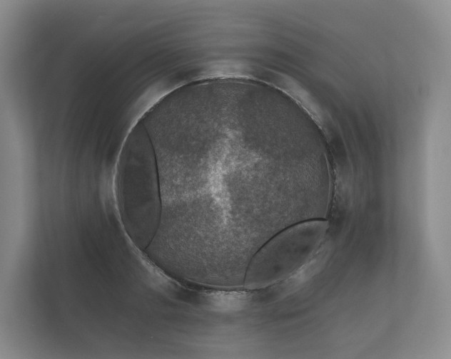 X0000112430893200908211158