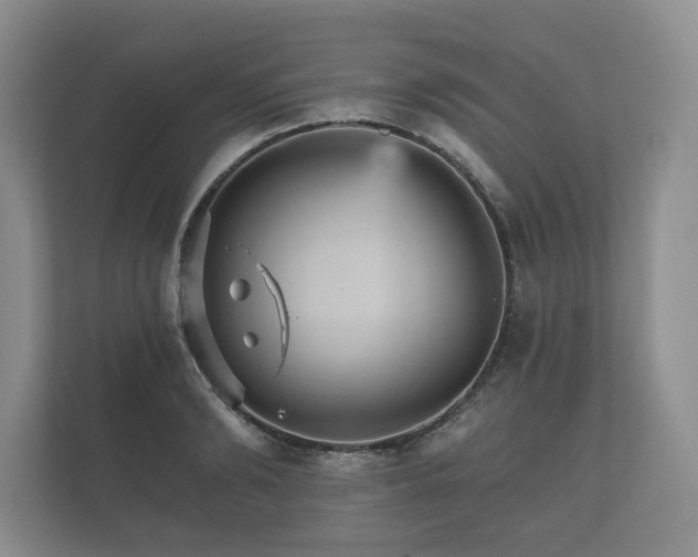 X0000112430894200908211158