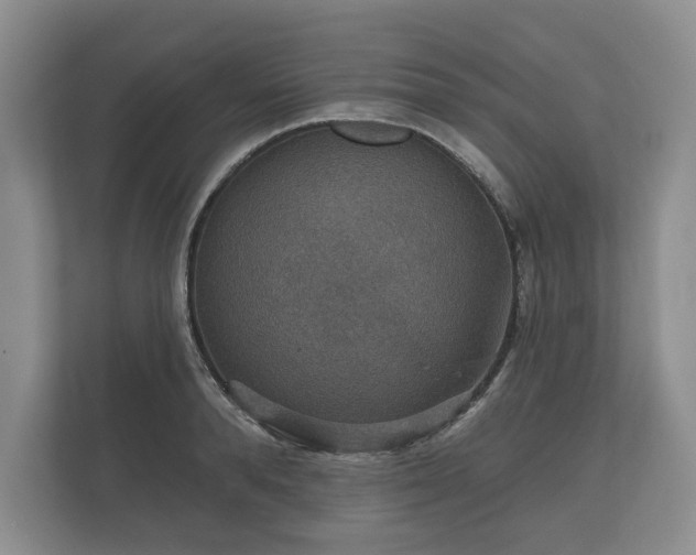 X0000112430896200908211158