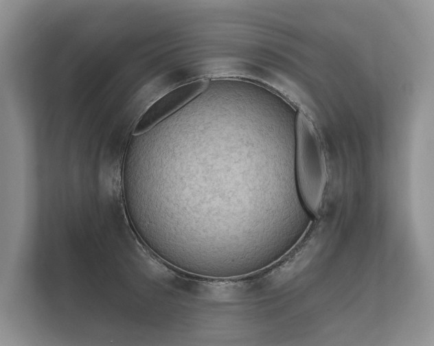 X0000112430897200908211158