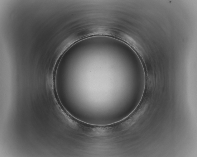X0000112430898200908211158