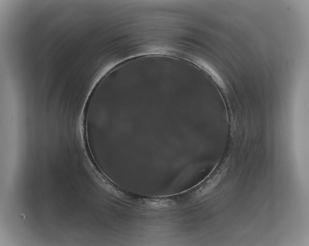 X0000112430899200908211158