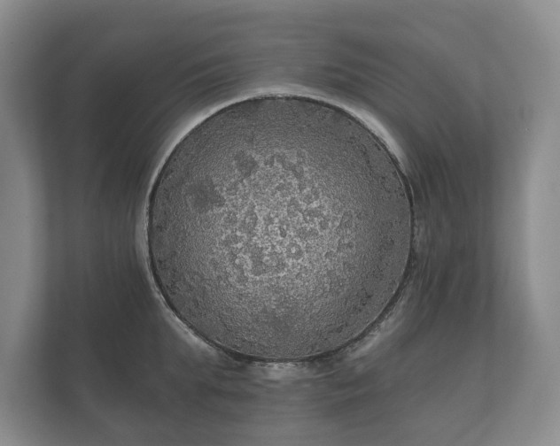 X0000112430903200908211158