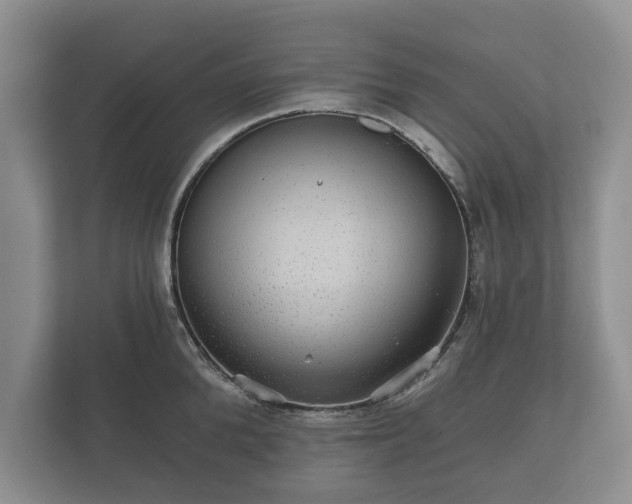 X0000112430904200908211158