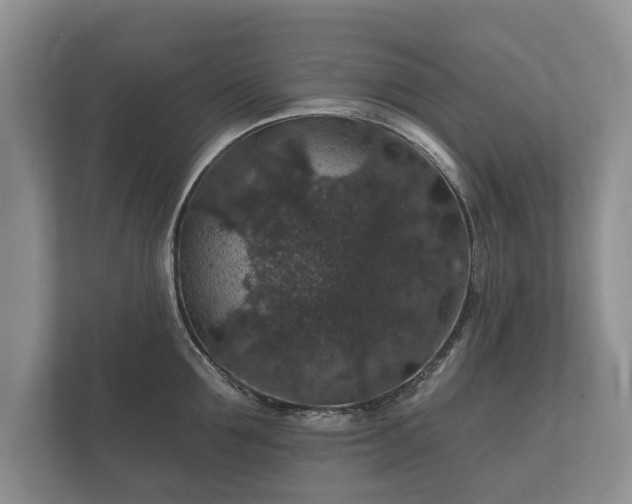 X0000112430907200908211158