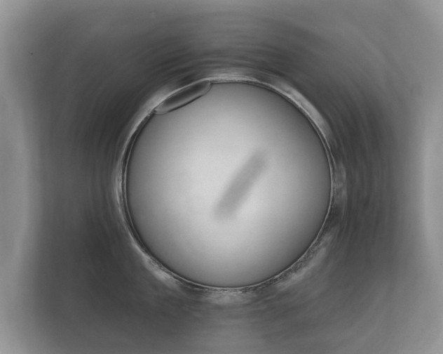 X0000112430909200908211158