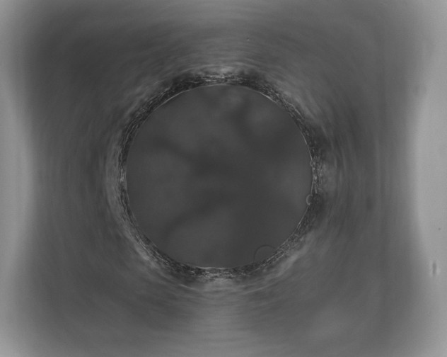 X0000112430913200908211157