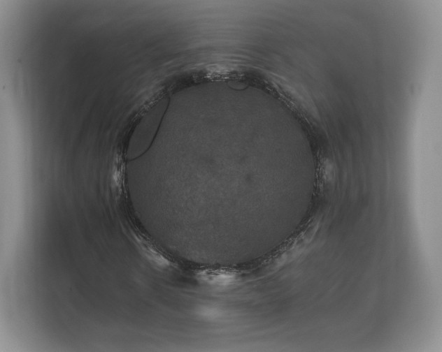 X0000112430914200908211157