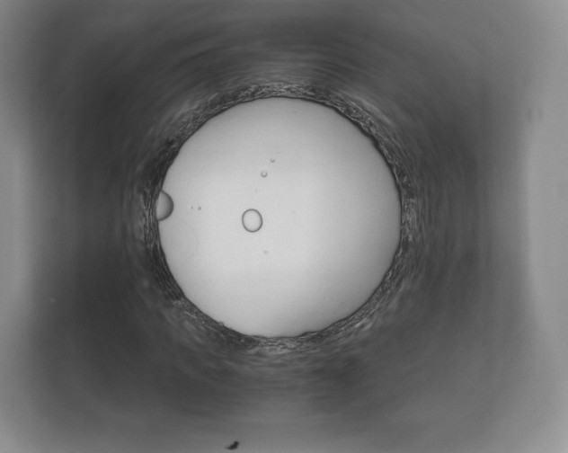X0000112430917200908211157